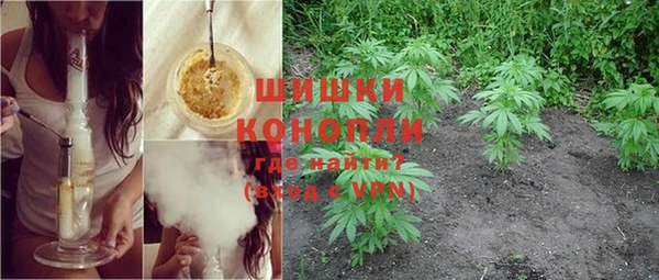 ПСИЛОЦИБИНОВЫЕ ГРИБЫ Абаза