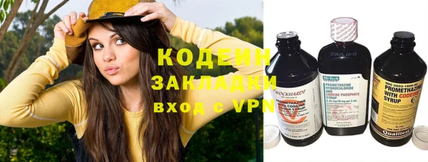 ПСИЛОЦИБИНОВЫЕ ГРИБЫ Абаза